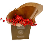 Ember Ilex Berries