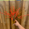 Ember Ilex Berries