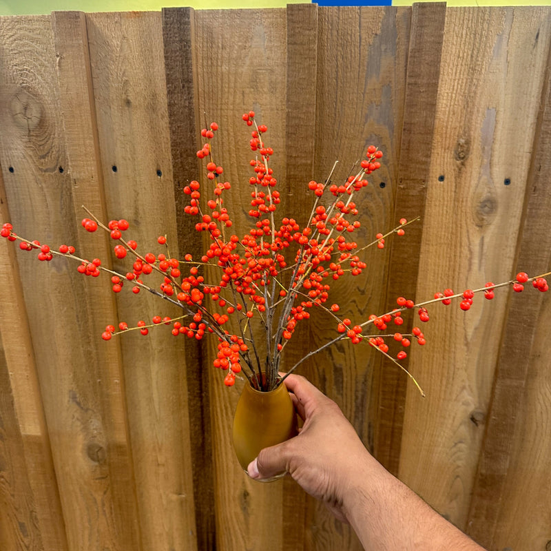 Ember Ilex Berries