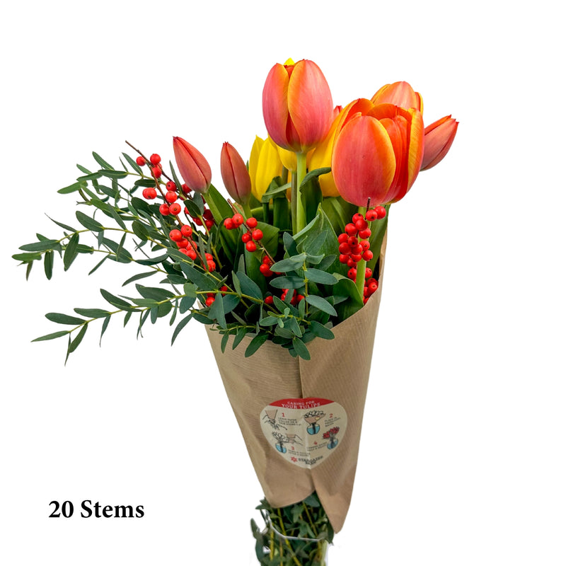 Nature's Bounty- Mixed Tulip Bouquet