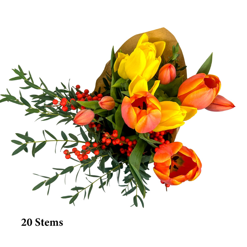 Nature's Bounty- Mixed Tulip Bouquet