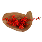 Ember Ilex Berries