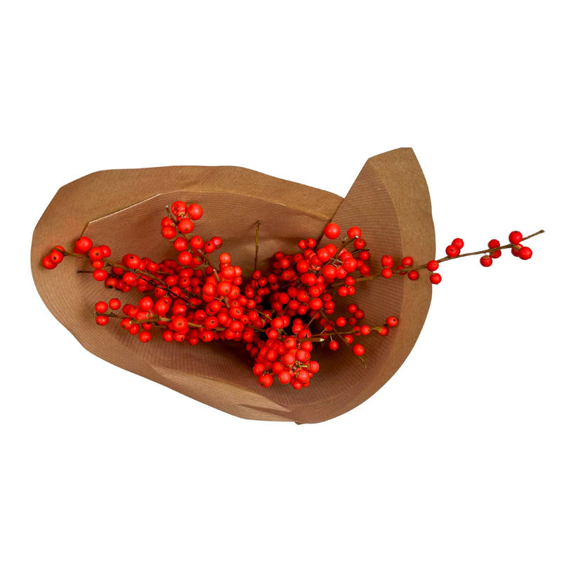 Ember Ilex Berries