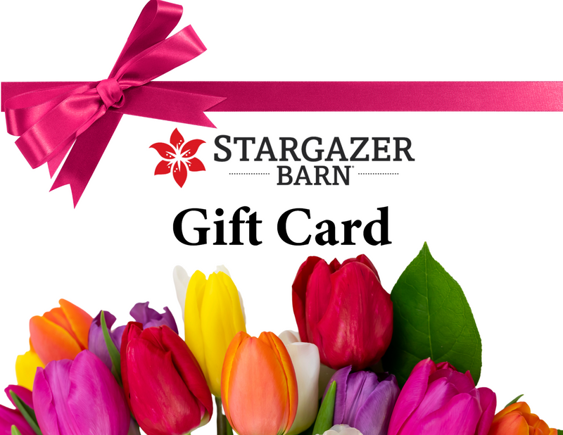 Stargazer Gift Card
