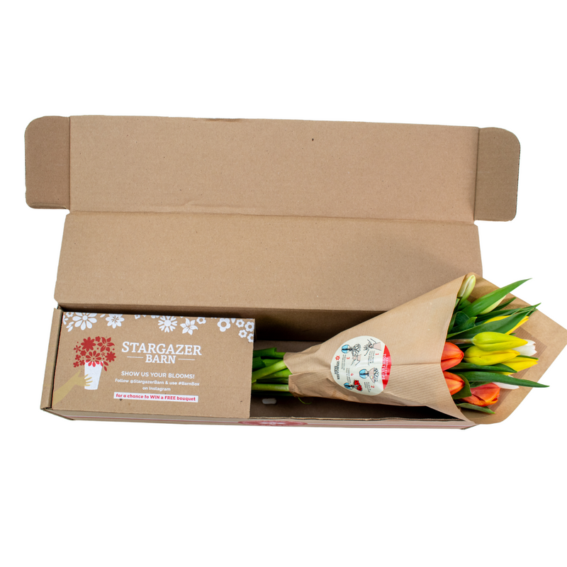 TRI-Squash Harvest - Mixed Tulip Bouquet