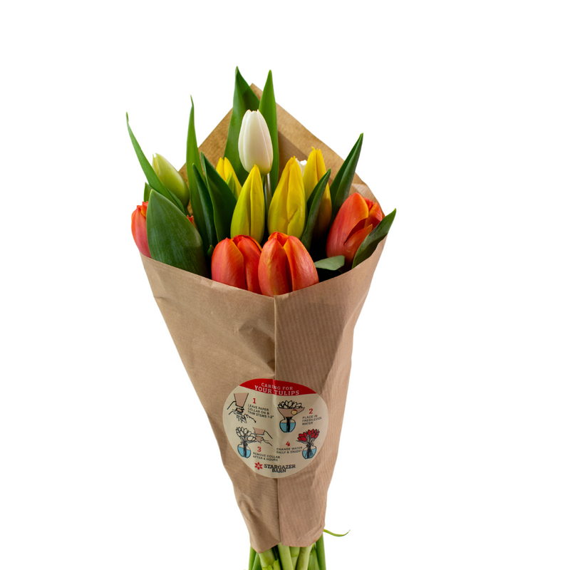 TRI-Squash Harvest - Mixed Tulip Bouquet