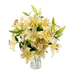 Tiger Moon Lilies