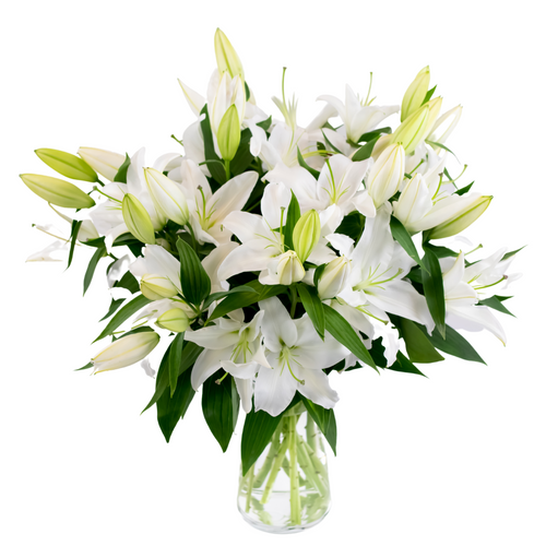Stargazer Barn White Lilies