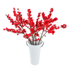 Stargazer barn Winter Spirit Ilex